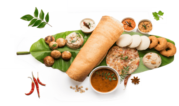 SOUTH INDIAN